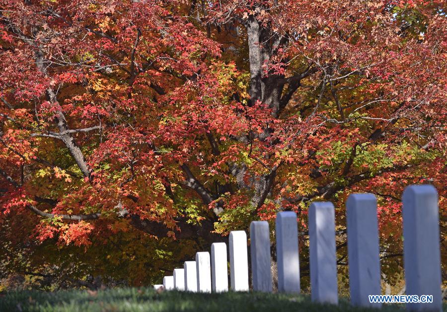 US-WASHINGTON-WEATHER-ARLINGTON NATIONAL CEMETERY