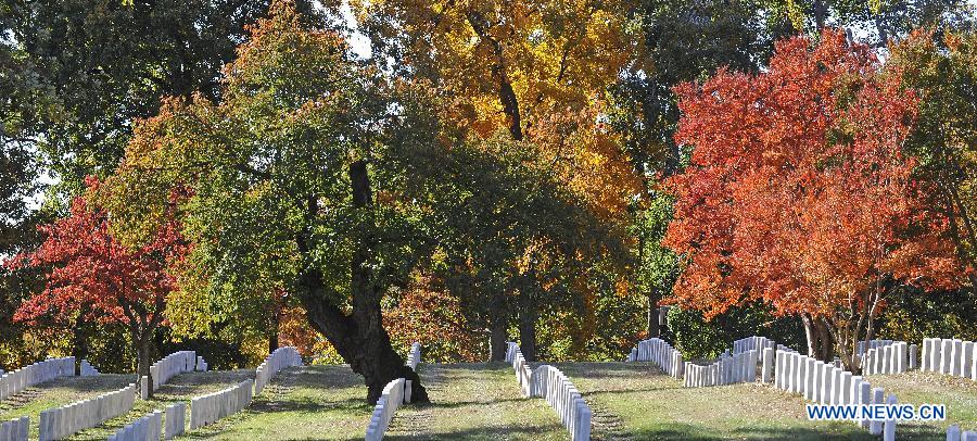 US-WASHINGTON-WEATHER-ARLINGTON NATIONAL CEMETERY