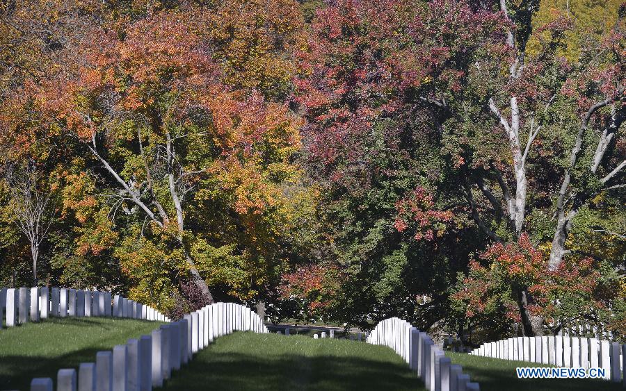 US-WASHINGTON-WEATHER-ARLINGTON NATIONAL CEMETERY