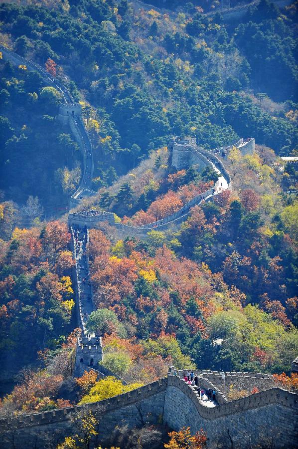 CHINA-BEIJING-AUTUMN SCENERY (CN)