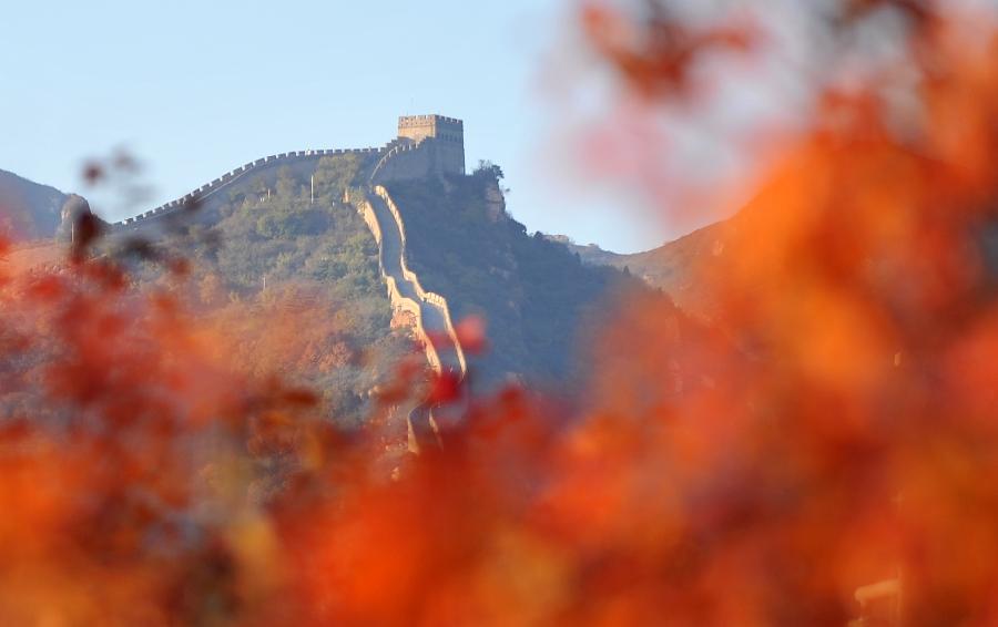 CHINA-BEIJING-AUTUMN SCENERY (CN)