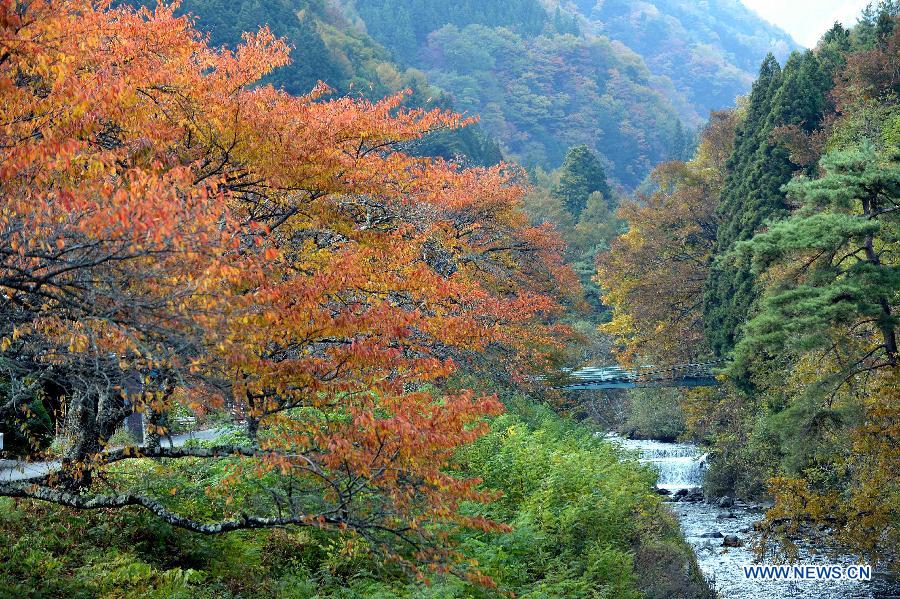 JAPAN-AUTUMN-LANDSCAPE