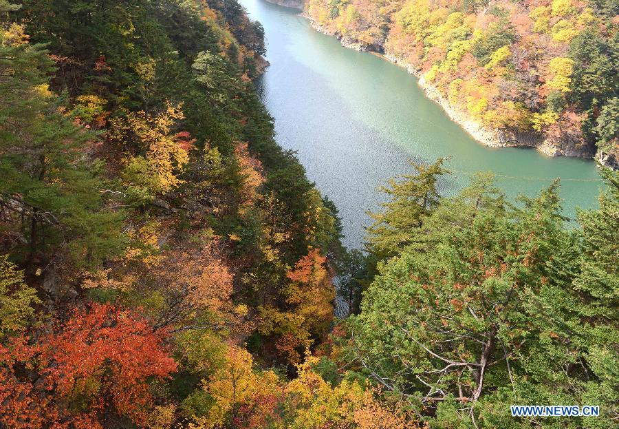 JAPAN-AUTUMN-LANDSCAPE