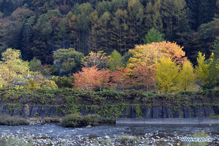 JAPAN-AUTUMN-LANDSCAPE