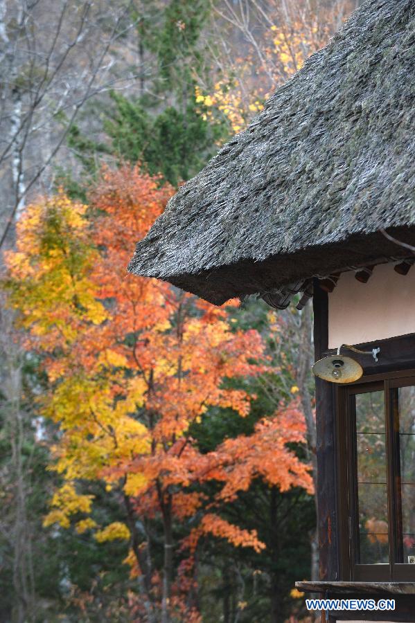 JAPAN-AUTUMN-LANDSCAPE