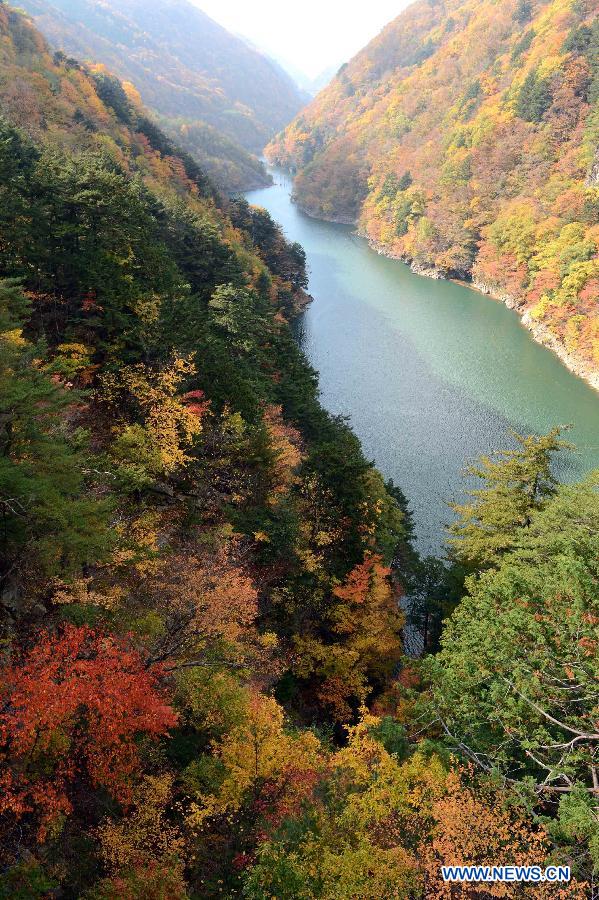 JAPAN-AUTUMN-LANDSCAPE