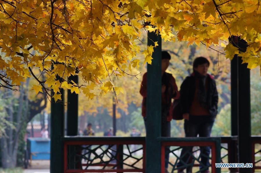 #CHINA-BEIJING-AUTUMN SCENERY (CN)