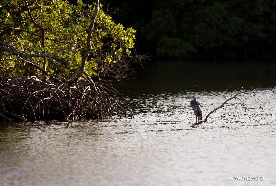 US-FLORIDA-EVERGLADES NATIONAL PARK