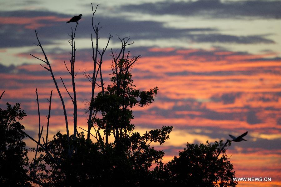 US-FLORIDA-EVERGLADES NATIONAL PARK