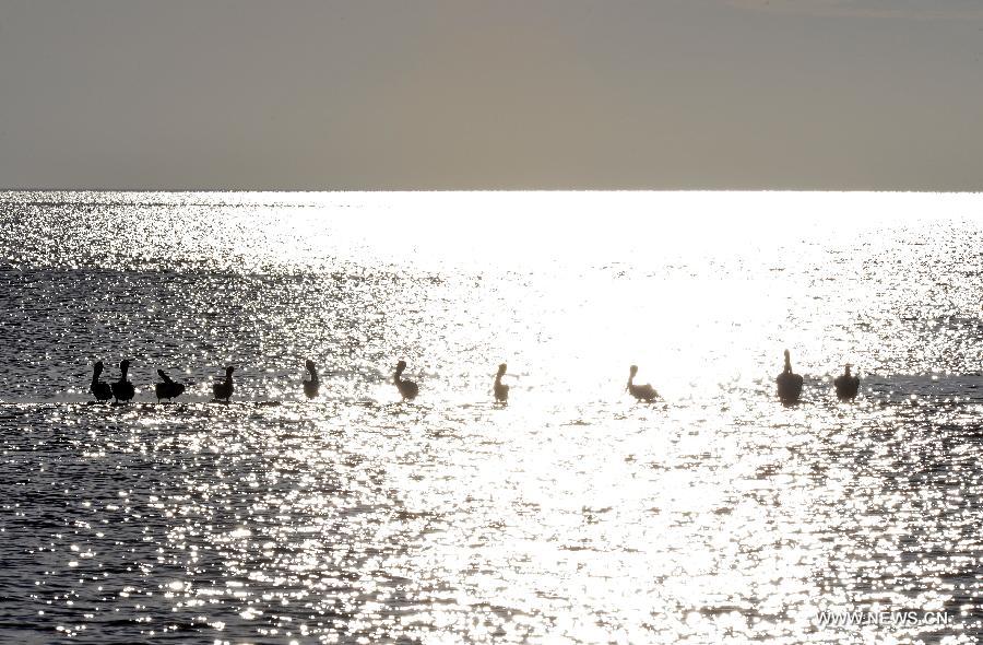 US-FLORIDA-EVERGLADES NATIONAL PARK