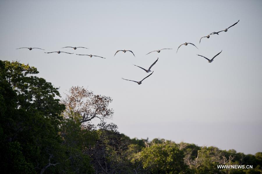 US-FLORIDA-EVERGLADES NATIONAL PARK