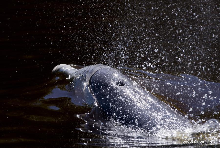 US-FLORIDA-EVERGLADES NATIONAL PARK