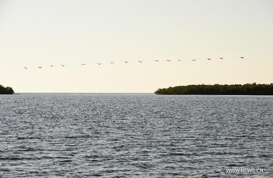 US-FLORIDA-EVERGLADES NATIONAL PARK