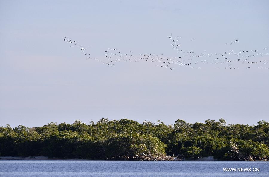 US-FLORIDA-EVERGLADES NATIONAL PARK