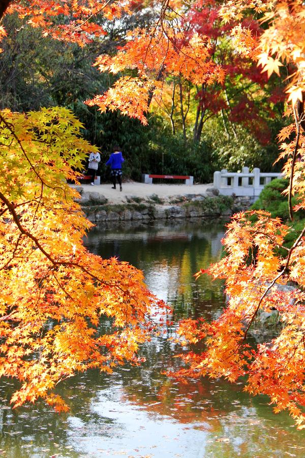 SOUTH KOREA-GYEONGJU-AUTUMN