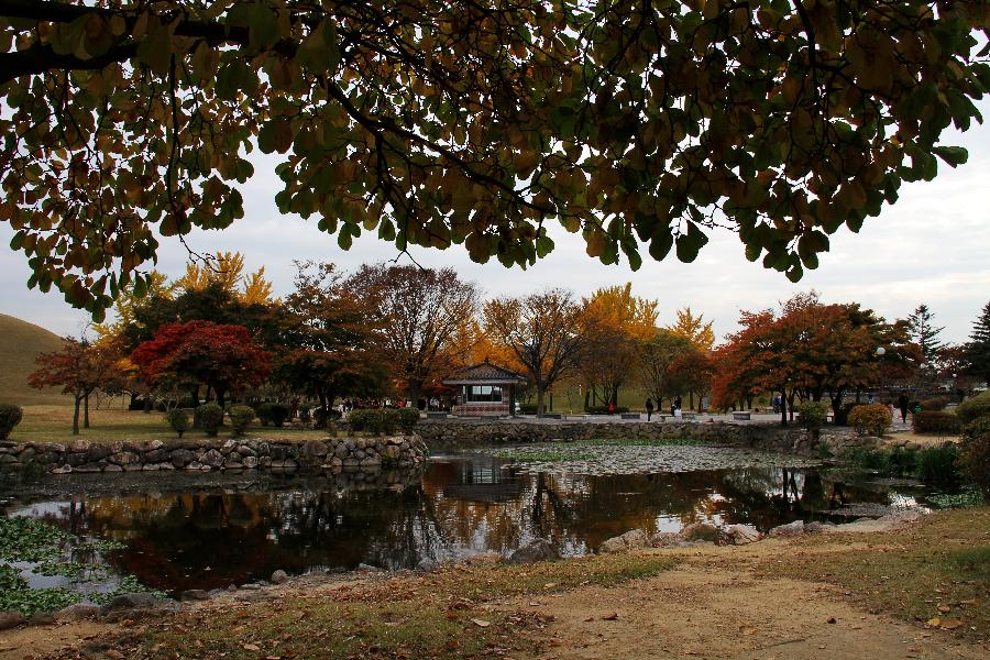 SOUTH KOREA-GYEONGJU-AUTUMN