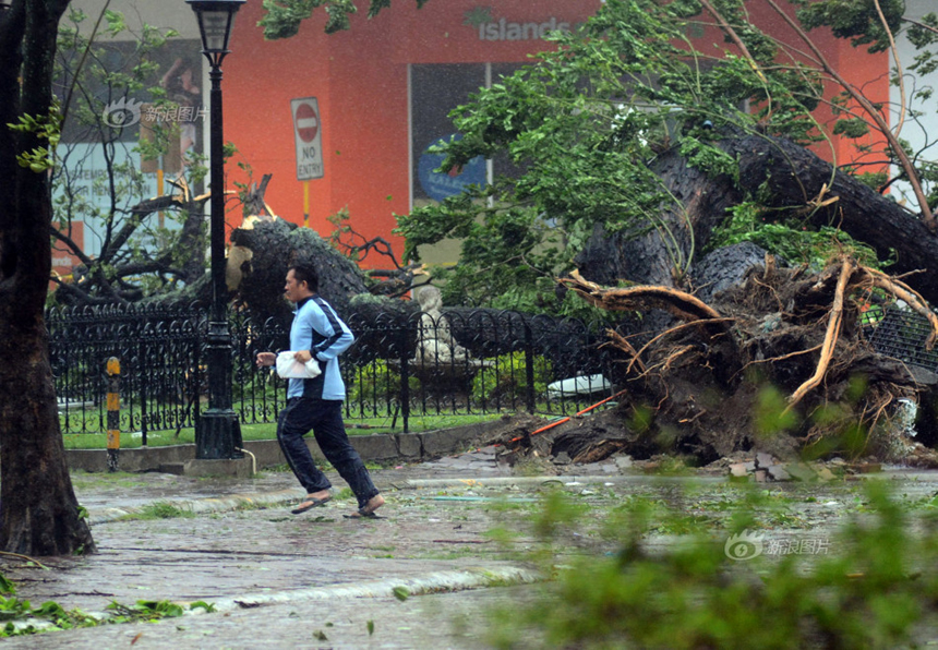 A man runs in rain after Typhoon Haiyan hits Cenu City, the Philippines, on Nov. 8, 2013. A tree nearby has been uprooted by the massive storm. 