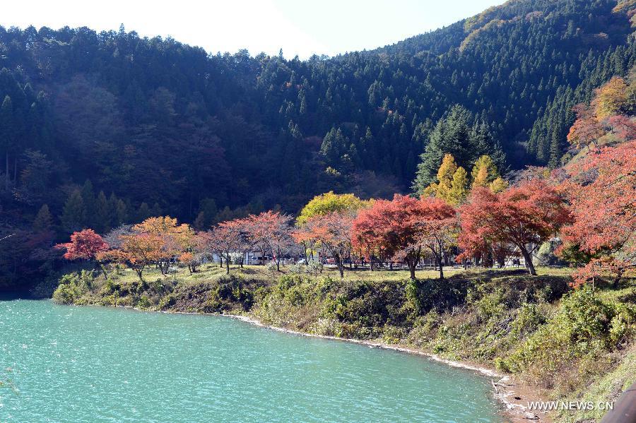 JAPAN-TOKYO-SCENERY