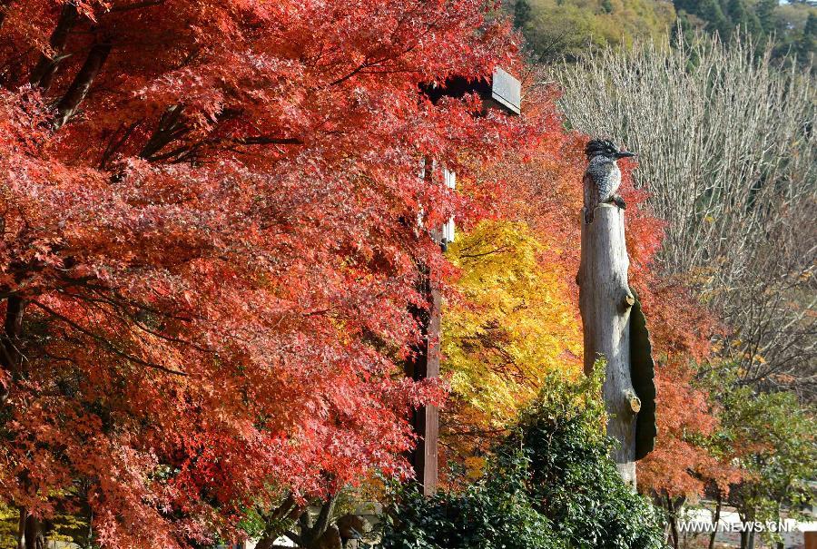 JAPAN-TOKYO-SCENERY