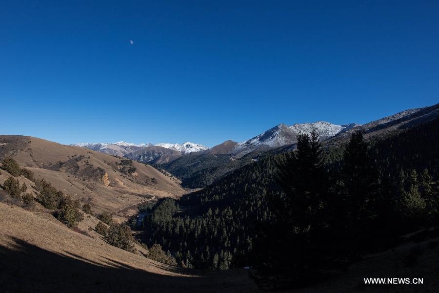 Photo taken on Nov. 17 shows the scenery of the Gemu Prairie in Batang County, southwest China's Sichuan Province. 