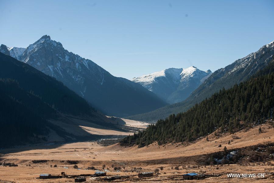 Photo taken on Nov. 17 shows the scenery of the Gemu Prairie in Batang County, southwest China's Sichuan Province. 