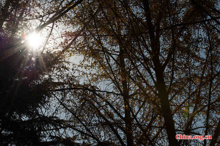 In early winter, the Chinese capital of Beijing takes on a serene view. [Photo by Chen Boyuan / China.org.cn]