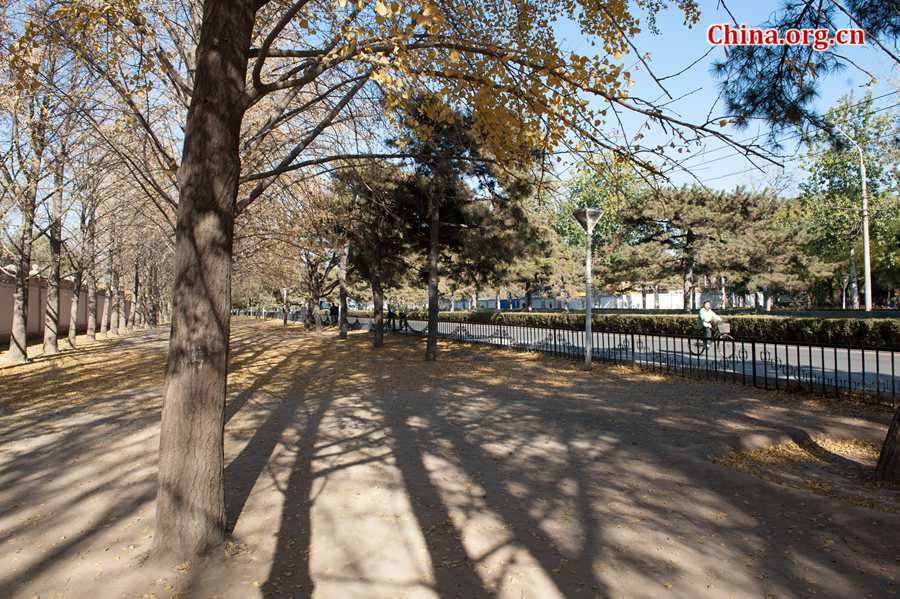 In early winter, the Chinese capital of Beijing takes on a serene view. [Photo by Chen Boyuan / China.org.cn]