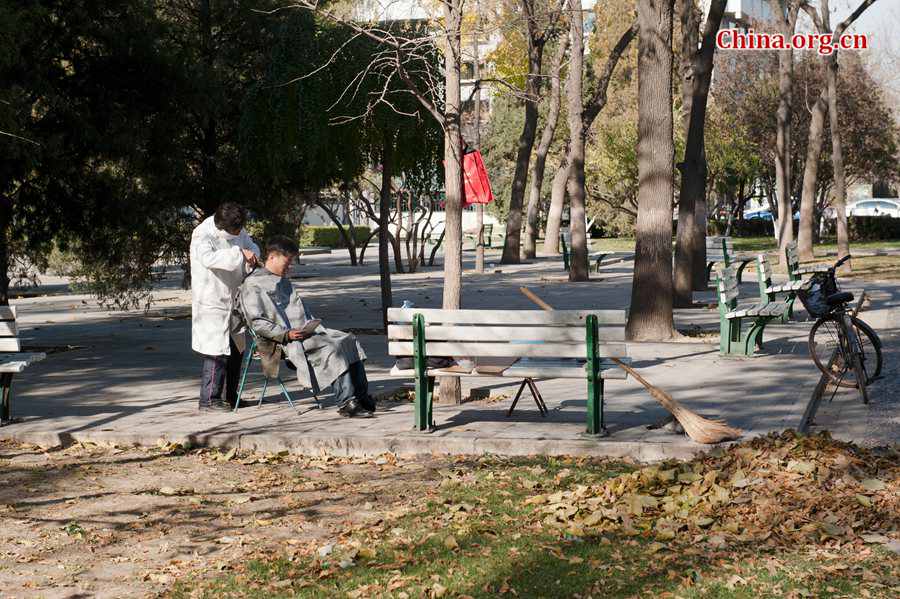 In early winter, the Chinese capital of Beijing takes on a serene view. [Photo by Chen Boyuan / China.org.cn]