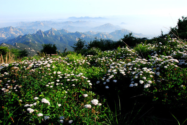 Amazing scenery of Kunyu Mountain in Shandong