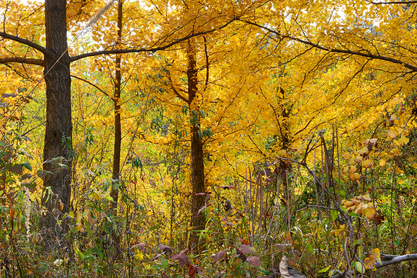 Amazing scenery of Kunyu Mountain in Shandong