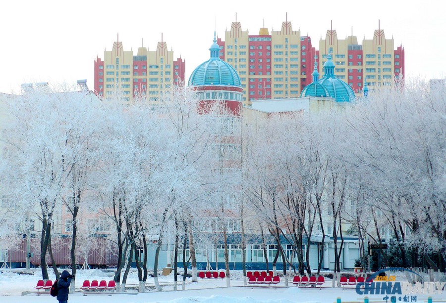 Rime Scenery In NE China's Heilongjiang - China.org.cn