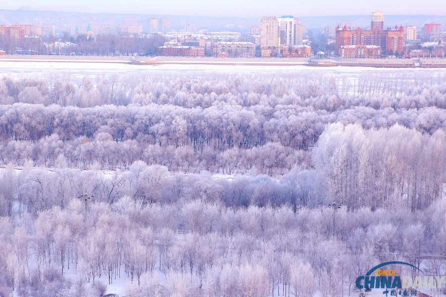 Rime Scenery In NE China's Heilongjiang - China.org.cn