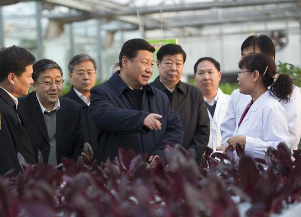 Xi Jinping makes inspection tour in Shandong