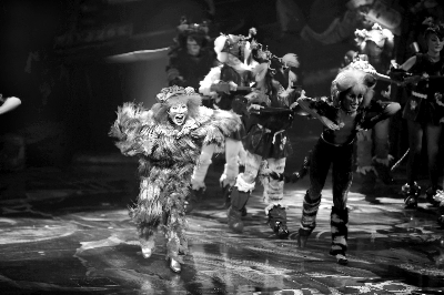 Chinese 'Cats' opens Shandong Grand Theatre show season