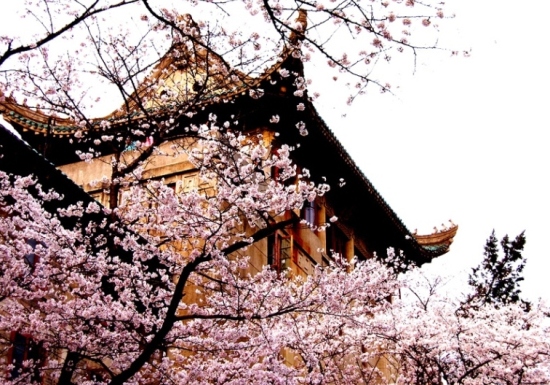 Wuhan University, one of the 'top 10 Chinese universities in overall strength' by China.org.cn.