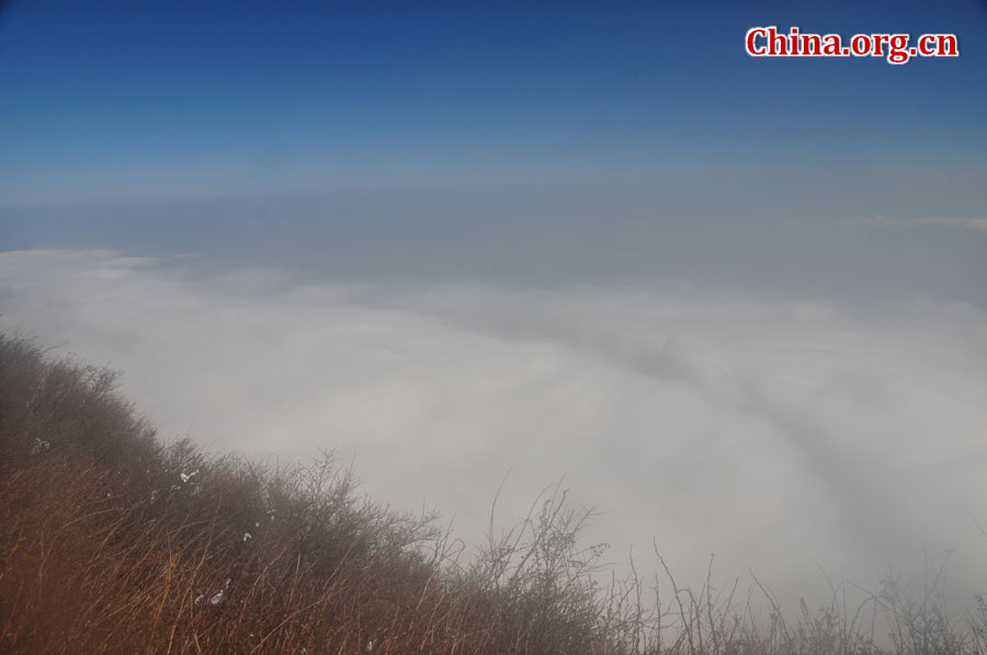 峨眉山以多雾著称，常年云雾缭绕，雨丝霏霏。弥漫山间的云雾，变化万千，把峨眉山装点得婀娜多姿，犹如仙境一般。[中国网 陈祥昭 摄]