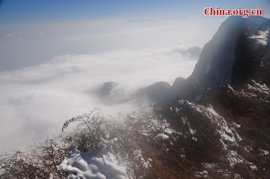 峨眉山以多雾著称，常年云雾缭绕，雨丝霏霏。弥漫山间的云雾，变化万千，把峨眉山装点得婀娜多姿，犹如仙境一般。[中国网 陈祥昭 摄]