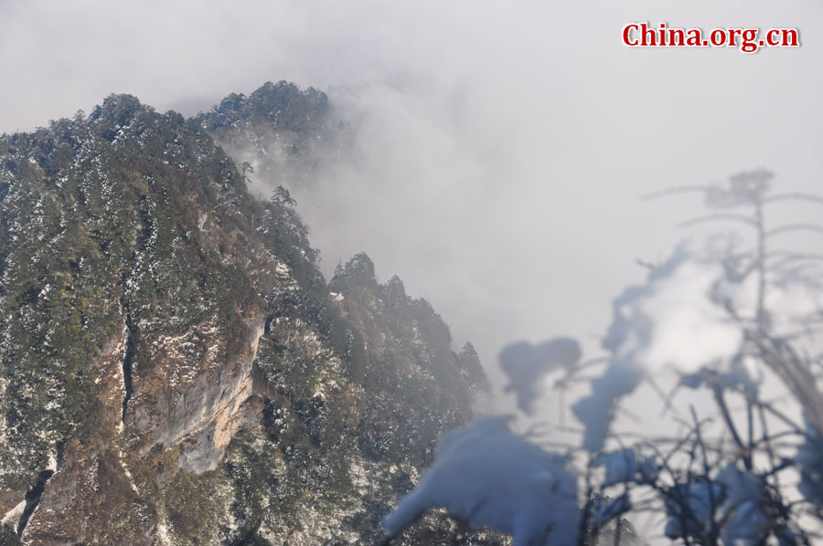 峨眉山以多雾著称，常年云雾缭绕，雨丝霏霏。弥漫山间的云雾，变化万千，把峨眉山装点得婀娜多姿，犹如仙境一般。[中国网 陈祥昭 摄]