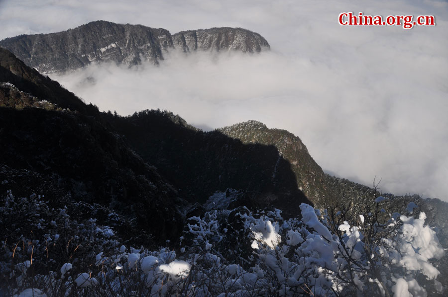 峨眉山以多雾著称，常年云雾缭绕，雨丝霏霏。弥漫山间的云雾，变化万千，把峨眉山装点得婀娜多姿，犹如仙境一般。[中国网 陈祥昭 摄]