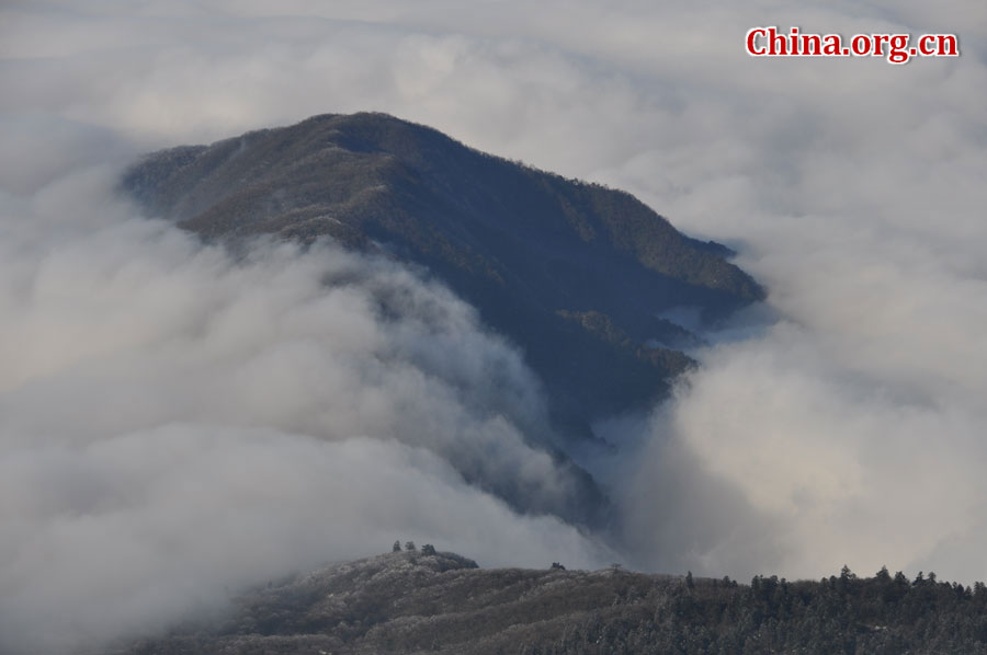 峨眉山以多雾著称，常年云雾缭绕，雨丝霏霏。弥漫山间的云雾，变化万千，把峨眉山装点得婀娜多姿，犹如仙境一般。[中国网 陈祥昭 摄]