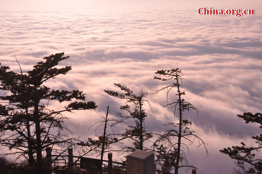 峨眉山以多雾著称，常年云雾缭绕，雨丝霏霏。弥漫山间的云雾，变化万千，把峨眉山装点得婀娜多姿，犹如仙境一般。[中国网 陈祥昭 摄]