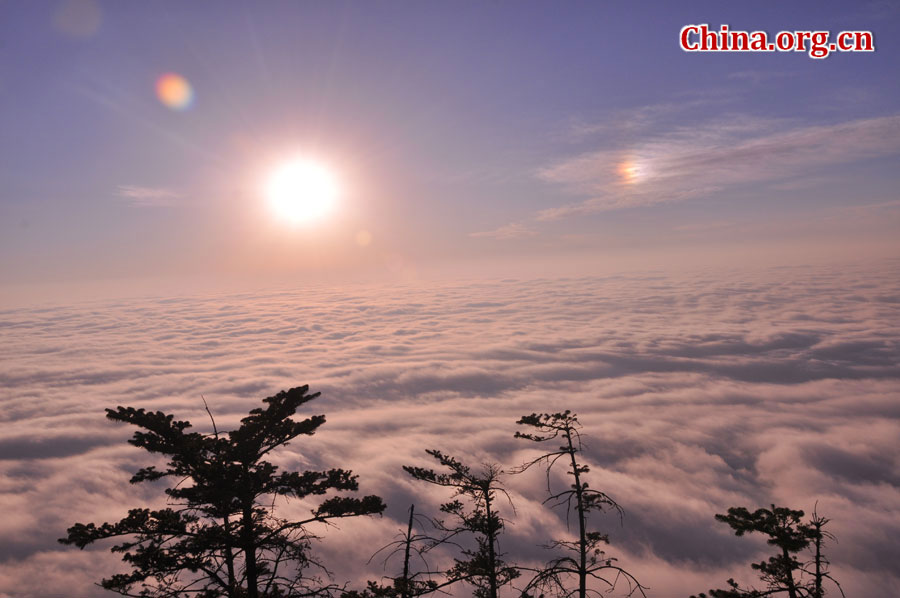 峨眉山以多雾著称，常年云雾缭绕，雨丝霏霏。弥漫山间的云雾，变化万千，把峨眉山装点得婀娜多姿，犹如仙境一般。[中国网 陈祥昭 摄]