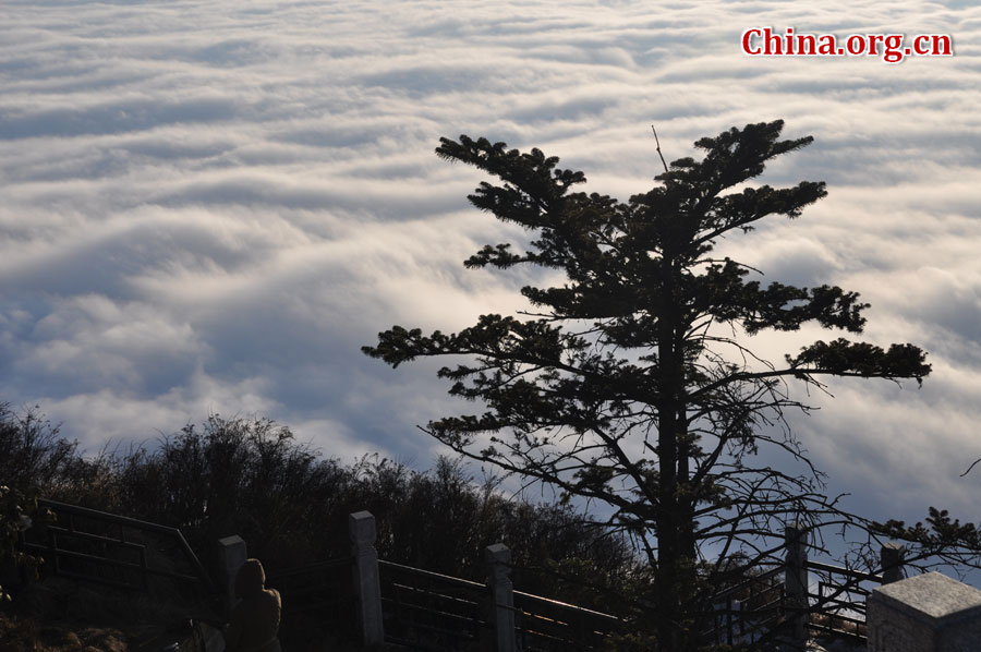 峨眉山以多雾著称，常年云雾缭绕，雨丝霏霏。弥漫山间的云雾，变化万千，把峨眉山装点得婀娜多姿，犹如仙境一般。[中国网 陈祥昭 摄]