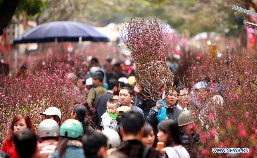 Why northerners often display peach blossoms during Lunar New Year, Culture - Sports