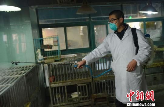 The H7N9 bird flu virus has killed 19 people in China this year, with more than half of the cases in Zhejiang.