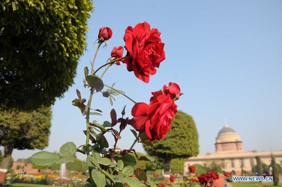 Mughal Garden At Indian Presidential Palace China Org Cn