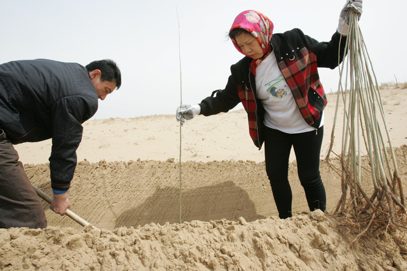 yi-jiefang-making-the-deserts-bloom-china-cn