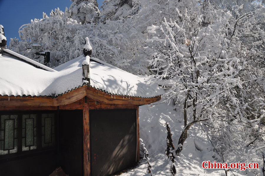 峨眉山的雪景之美，独具一格。“忽如一夜春风来，千树万树梨花开。”雪后上峨眉，如诗如画，那连绵茂密的树林，如同裹上了一袭白衣，更添几分妩媚。[中国网 陈祥昭 摄]