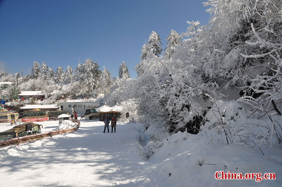 峨眉山的雪景之美，独具一格。“忽如一夜春风来，千树万树梨花开。”雪后上峨眉，如诗如画，那连绵茂密的树林，如同裹上了一袭白衣，更添几分妩媚。[中国网 陈祥昭 摄]