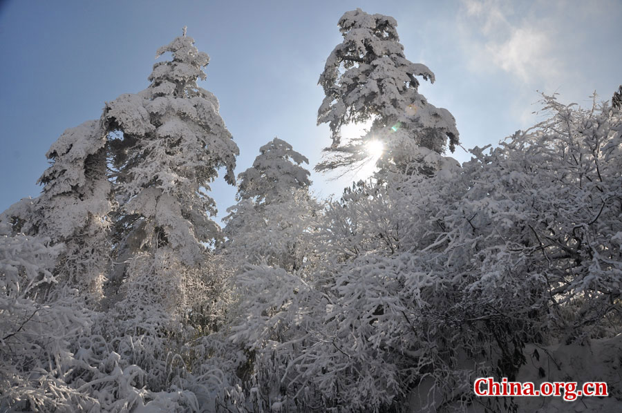 峨眉山的雪景之美，独具一格。“忽如一夜春风来，千树万树梨花开。”雪后上峨眉，如诗如画，那连绵茂密的树林，如同裹上了一袭白衣，更添几分妩媚。[中国网 陈祥昭 摄]